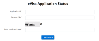 Comment vérifier le statut de mon visa égyptien