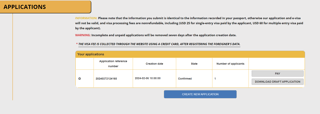 Successful Submission of the E-Visa Application Form